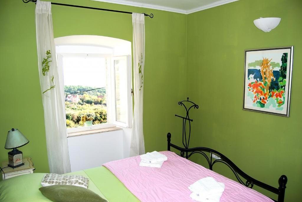 Villa Tony Orašac Zewnętrze zdjęcie