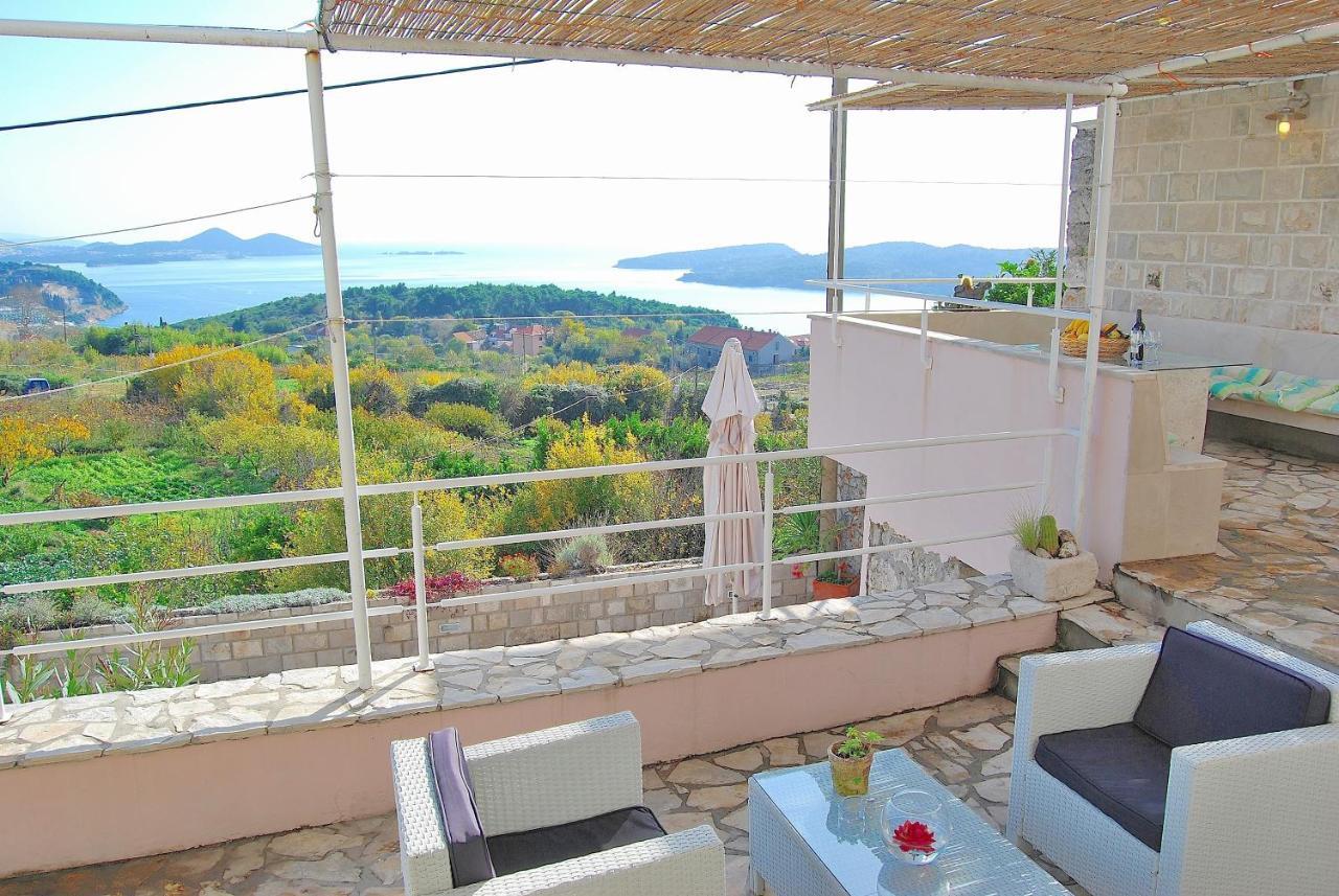 Villa Tony Orašac Zewnętrze zdjęcie